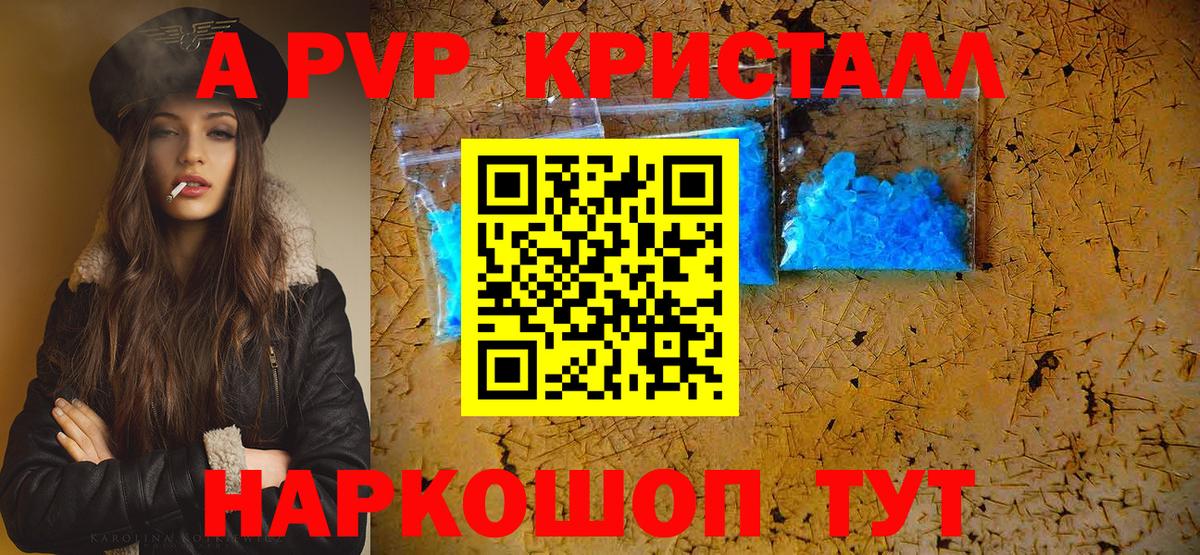 Альфа ПВП СК Выборг